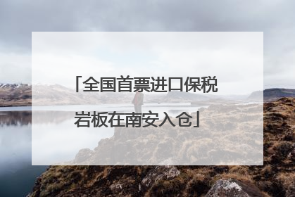 全国首票进口保税岩板在南安入仓