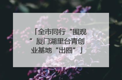 全市同行“围观”厦门湖里台青创业基地“出圈”