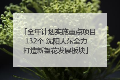 全年计划实施重点项目132个 沈阳大东全力打造新望花发展板块