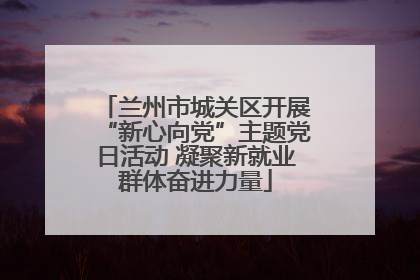 兰州市城关区开展“新心向党”主题党日活动 凝聚新就业群体奋进力量