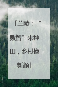 兰陵：“数智”来种田，乡村换新颜