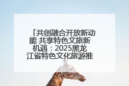 共创融合开放新动能 共享特色文旅新机遇：2025黑龙江省特色文化旅游推介会在抚远举行