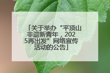 关于举办“平顶山非遗新青年，2025再出发”网络宣传活动的公告