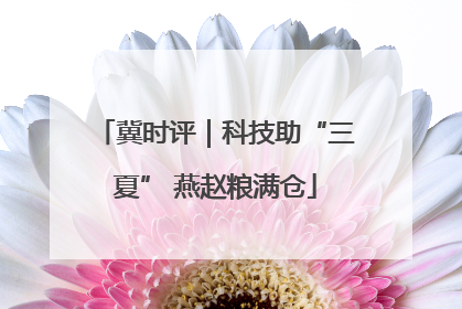 冀时评｜科技助“三夏” 燕赵粮满仓