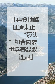 再登顶峰 征途未止——“莎头”组合圆梦世乒赛混双三连冠