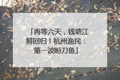 再等六天，钱塘江鲜回归！杭州渔民：第一波盼刀鱼