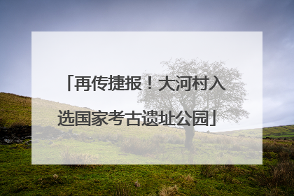 再传捷报！大河村入选国家考古遗址公园