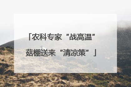 农科专家“战高温” 菇棚送来“清凉策”