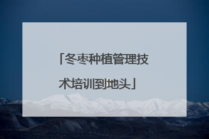 冬枣种植管理技术培训到地头