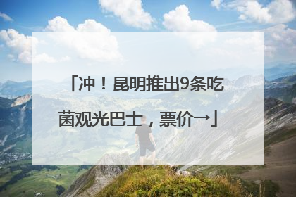 冲！昆明推出9条吃菌观光巴士，票价→