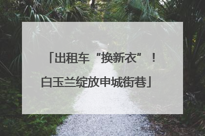 出租车“换新衣”！白玉兰绽放申城街巷
