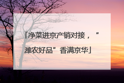 净菜进京产销对接，“潍农好品”香满京华