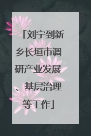刘宁到新乡长垣市调研产业发展、基层治理等工作