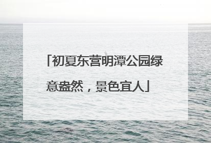 初夏东营明潭公园绿意盎然，景色宜人