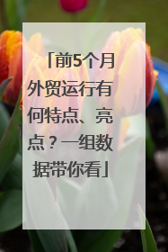 前5个月外贸运行有何特点、亮点？一组数据带你看