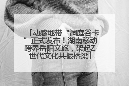 动感地带“洞庭谷卡”正式发布！湖南移动跨界岳阳文旅，架起Z世代文化共振桥梁