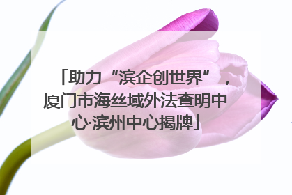助力“滨企创世界”，厦门市海丝域外法查明中心·滨州中心揭牌