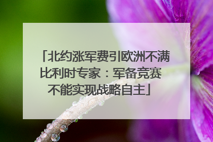 北约涨军费引欧洲不满 比利时专家：军备竞赛不能实现战略自主