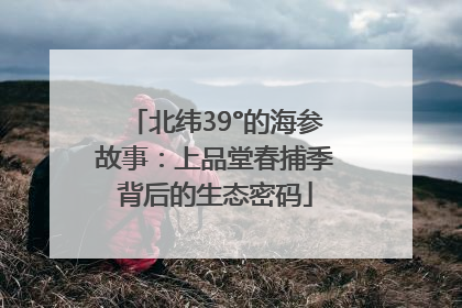 北纬39°的海参故事：上品堂春捕季背后的生态密码
