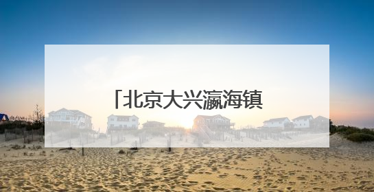 北京大兴瀛海镇“瀛”麦相承小麦丰收开镰 奏响农文旅融合新乐章