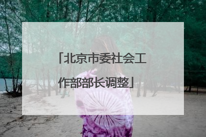 北京市委社会工作部部长调整