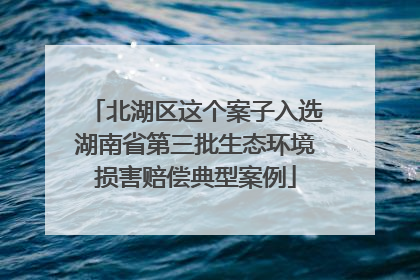 北湖区这个案子入选湖南省第三批生态环境损害赔偿典型案例