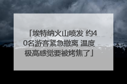 埃特纳火山喷发 约40名游客紧急撤离 温度极高感觉要被烤焦了