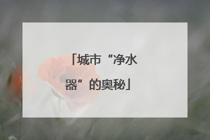 城市“净水器”的奥秘