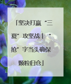 坚决打赢“三夏”攻坚战丨“抢”字当头确保颗粒归仓