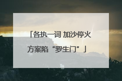 各执一词 加沙停火方案陷“罗生门”
