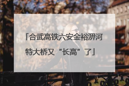 合武高铁六安金裕淠河特大桥又“长高”了