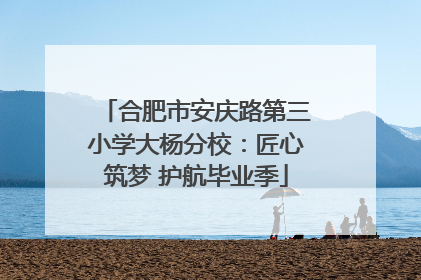 合肥市安庆路第三小学大杨分校：匠心筑梦 护航毕业季