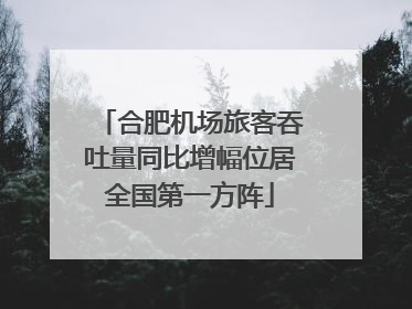 合肥机场旅客吞吐量同比增幅位居全国第一方阵