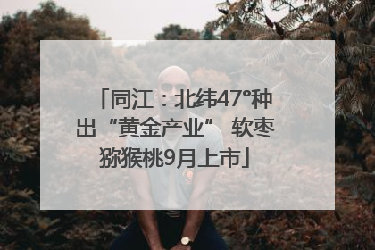 同江：北纬47°种出“黄金产业” 软枣猕猴桃9月上市