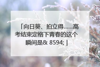 向日葵、拍立得……高考结束定格下青春的这个瞬间是& 8594;｜2025四川高考