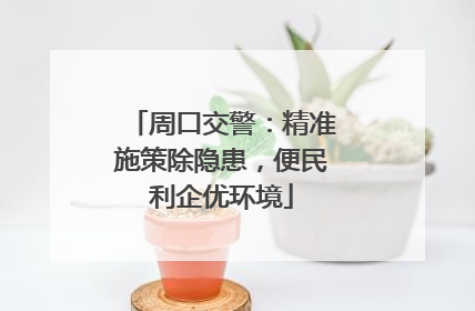周口交警：精准施策除隐患，便民利企优环境