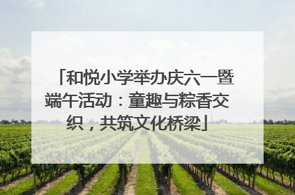 和悦小学举办庆六一暨端午活动：童趣与粽香交织，共筑文化桥梁