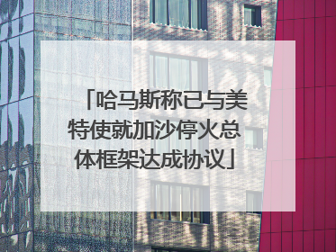 哈马斯称已与美特使就加沙停火总体框架达成协议