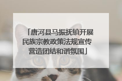 唐河县马振抚镇开展民族宗教政策法规宣传 营造团结和谐氛围