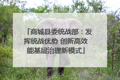 商城县委统战部：发挥统战优势 创新高效能基层治理新模式
