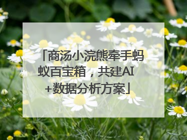 商汤小浣熊牵手蚂蚁百宝箱，共建AI+数据分析方案