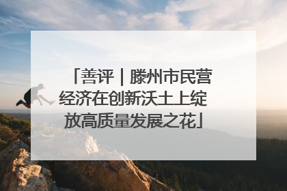 善评｜滕州市民营经济在创新沃土上绽放高质量发展之花