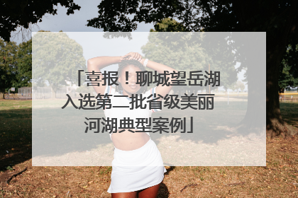 喜报！聊城望岳湖入选第二批省级美丽河湖典型案例