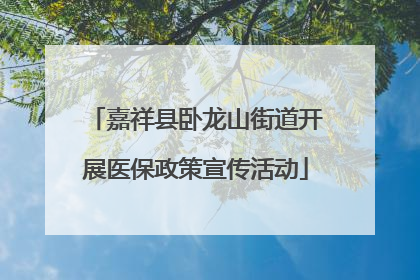 嘉祥县卧龙山街道开展医保政策宣传活动