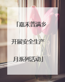 嘉禾普满乡开展安全生产月系列活动