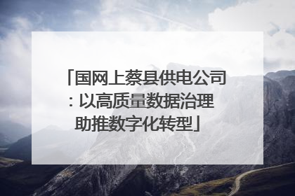 国网上蔡县供电公司：以高质量数据治理 助推数字化转型
