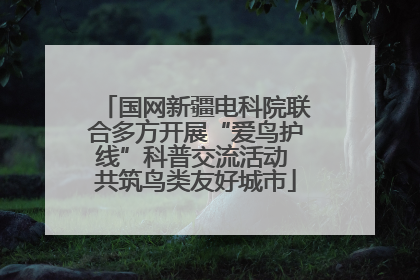 国网新疆电科院联合多方开展“爱鸟护线”科普交流活动 共筑鸟类友好城市
