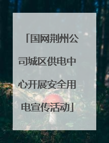 国网荆州公司城区供电中心开展安全用电宣传活动