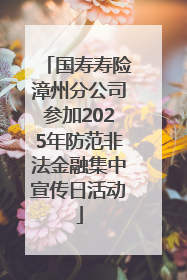 国寿寿险漳州分公司参加2025年防范非法金融集中宣传日活动