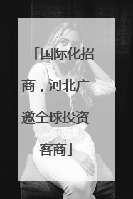 国际化招商，河北广邀全球投资客商